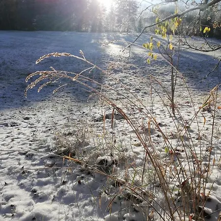 Guglhupf Wohlfuehl-maisonette Mit Boxspring, Netflix, Fahrstuhl Apartament *