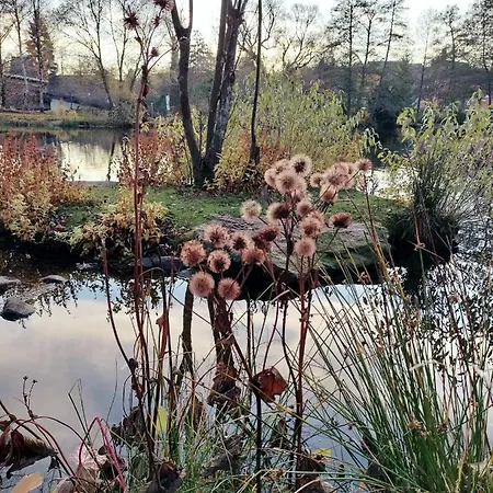 Apartament Guglhupf Wohlfuehl-maisonette Mit Boxspring, Netflix, Fahrstuhl Braunlage
